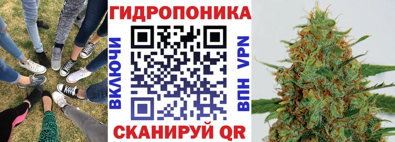 ГАШ Родники