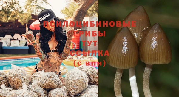 прущая мука Балахна