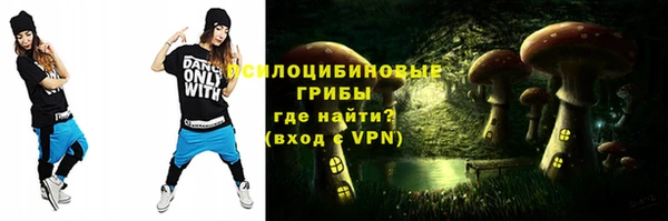 ешки Арсеньев