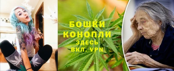 индика Баксан
