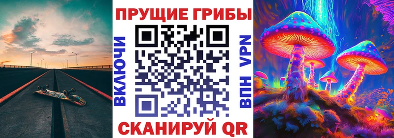 Псилоцибиновые грибы Magic Shrooms  Родники 
