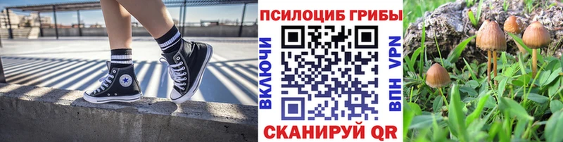 Псилоцибиновые грибы мицелий Родники