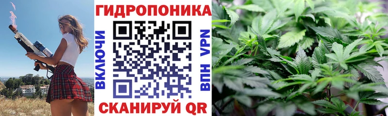 Бошки марихуана THC 21%  наркошоп  Родники 